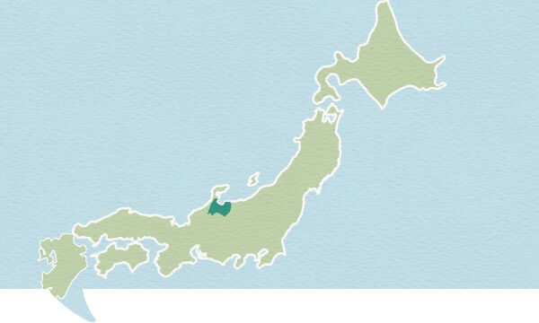 Staff Blog