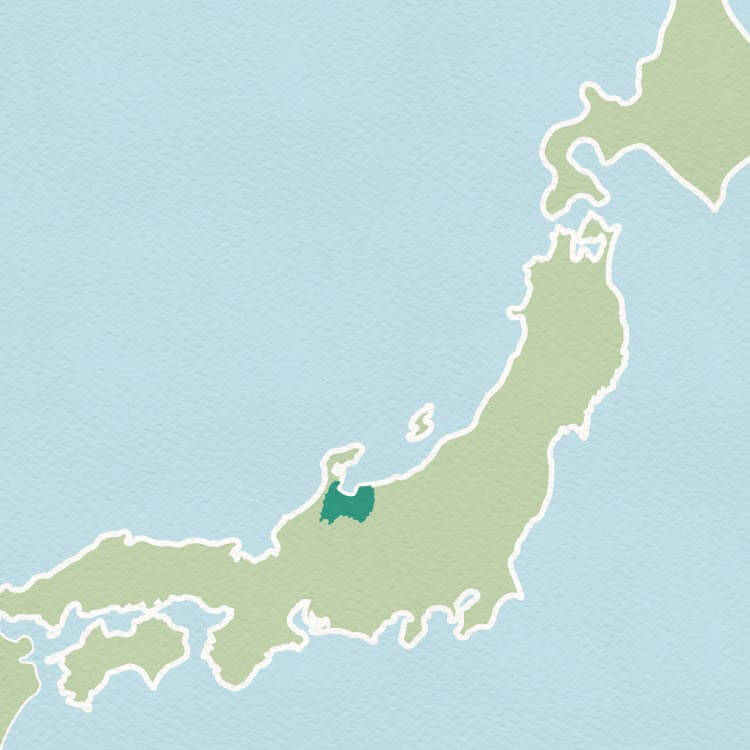 Staff Blog