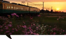 Toyama's Site link
