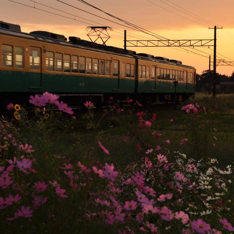 Toyama's Site link