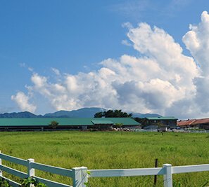 Scenery of Kurobe-shi,Toyama