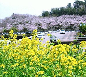 Scenery of Kurobe-shi,Toyama